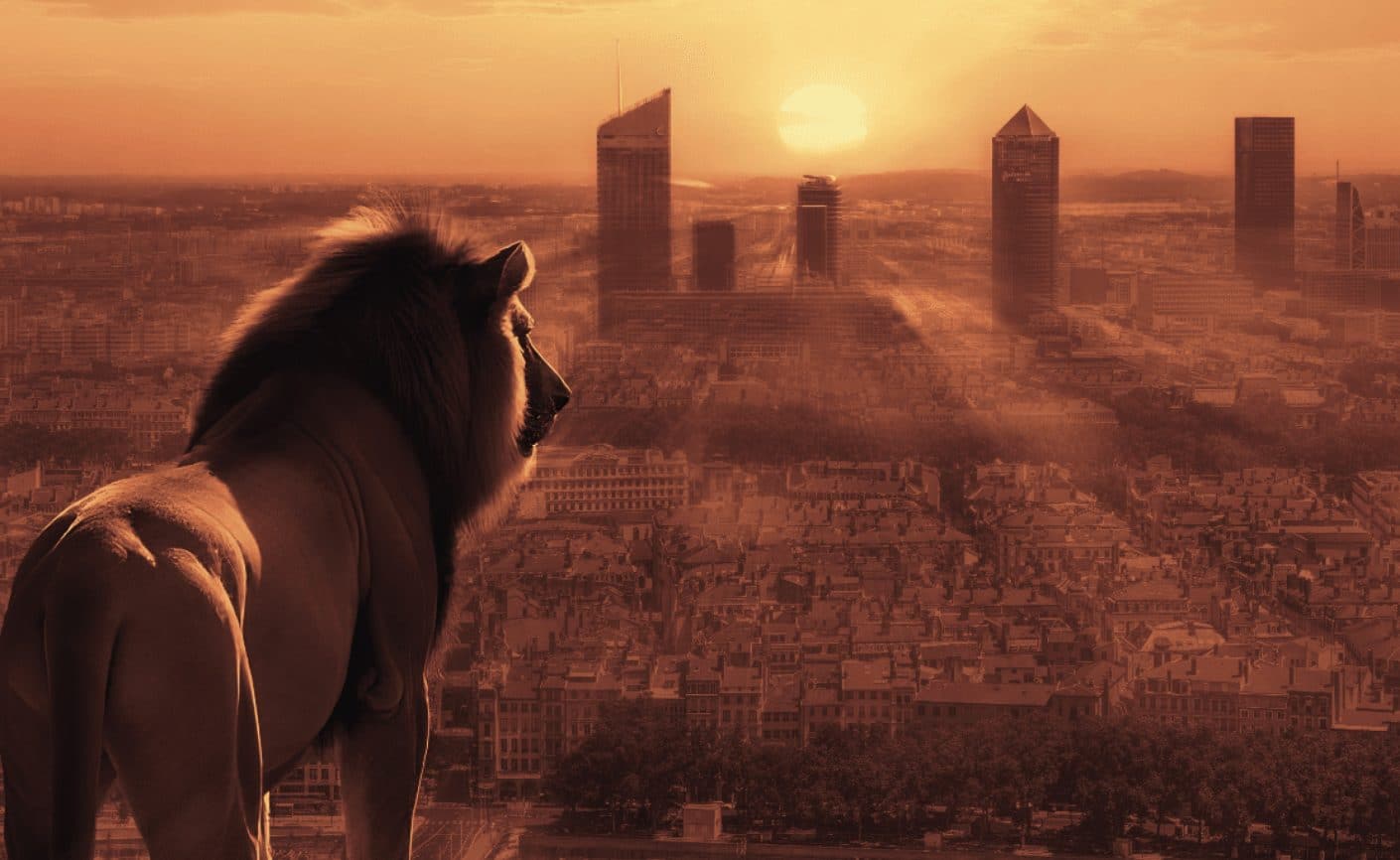 Retrouvez AAGROUP au salon CIEL à Lyon (69)